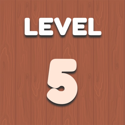 Level 5
