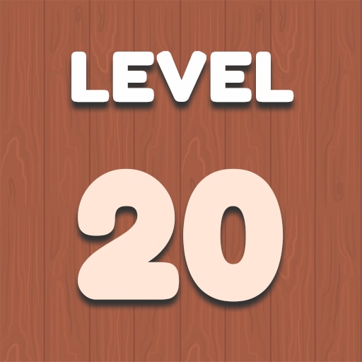 Level 20