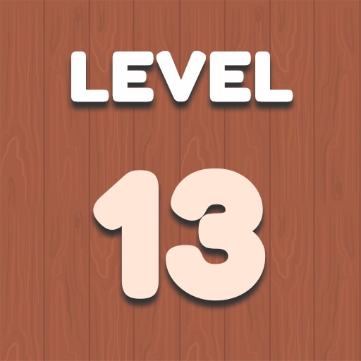 Level 13