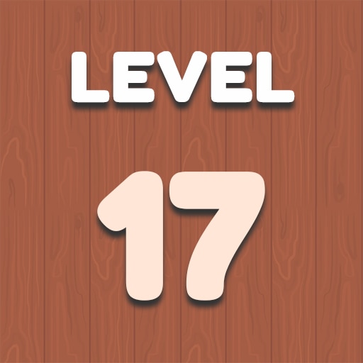 Level 17