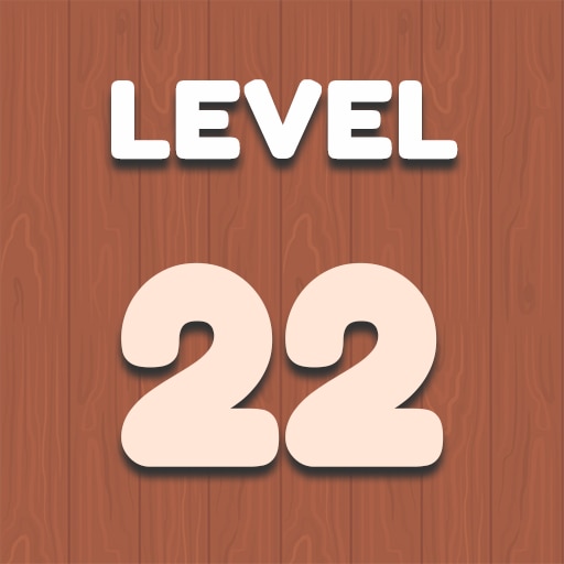 Level 22