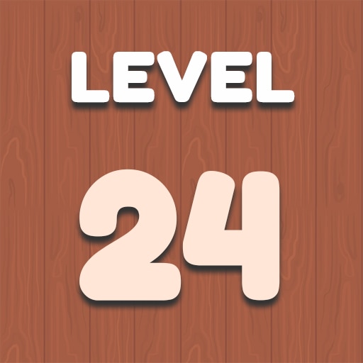 Level 24