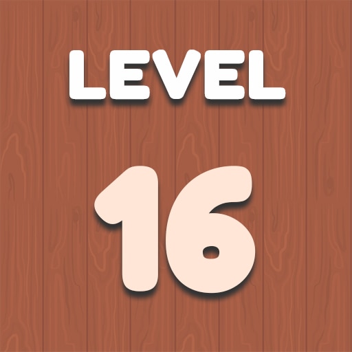 Level 16