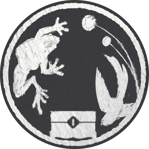 Every Inch Covered - Kaifeng