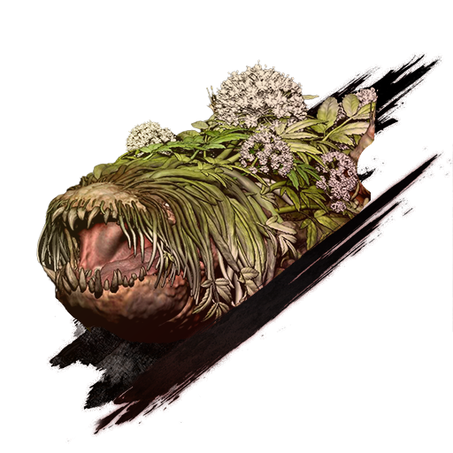 Lacerta's End