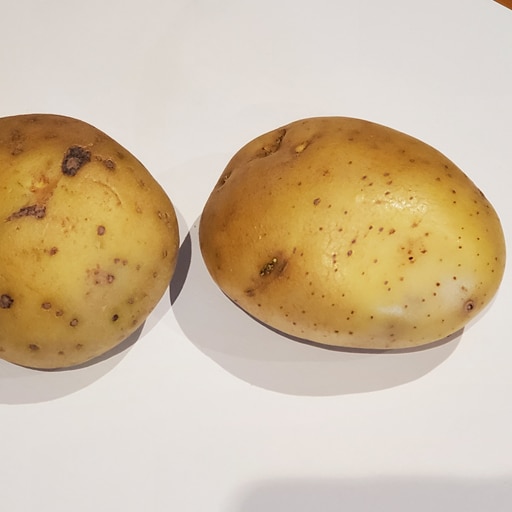 APPLEsolutely unBEETable!