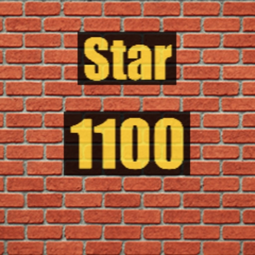 Star 1100
