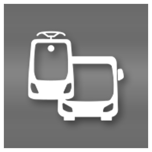 Серебряная отделка