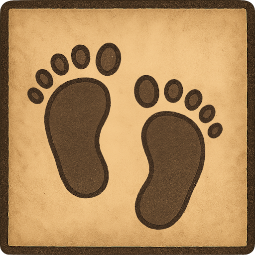 First Steps