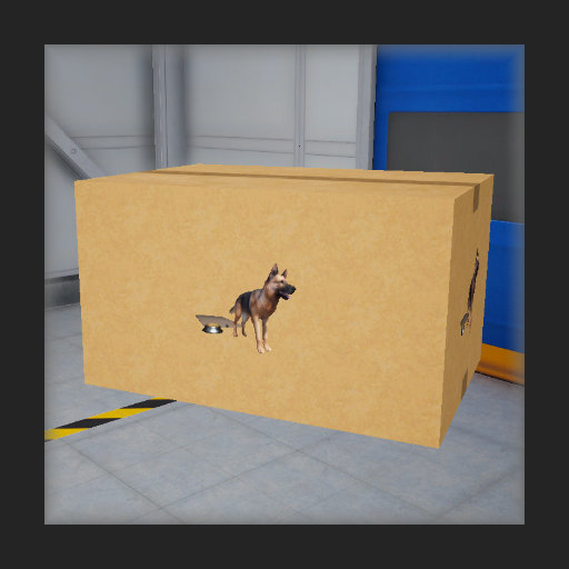 箱の中に犬?!