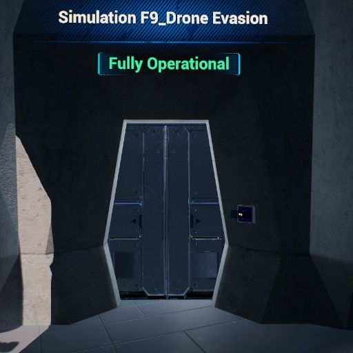 Drone Evasion