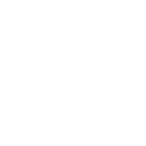 First Companion