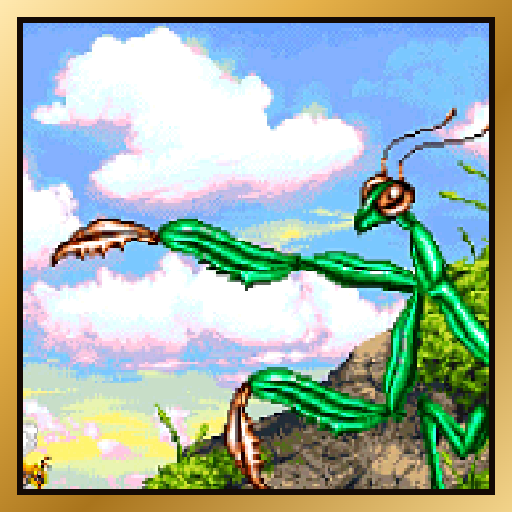 Survived Praying Mantis