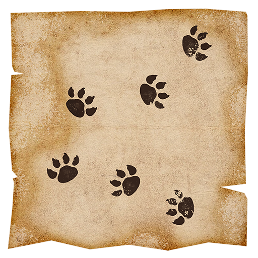 Following the Footsteps