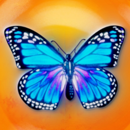 Trofeo ¡Eureka! (bronce) de Whirlight - No Time To Trip