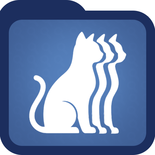 Feline Fixation