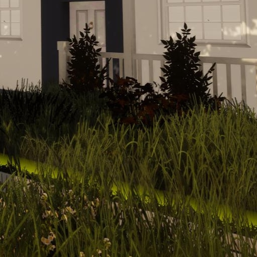 Beginner gardener