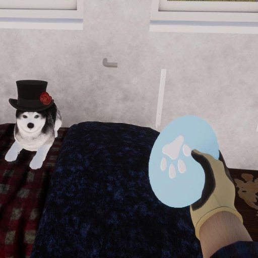It's playtime!