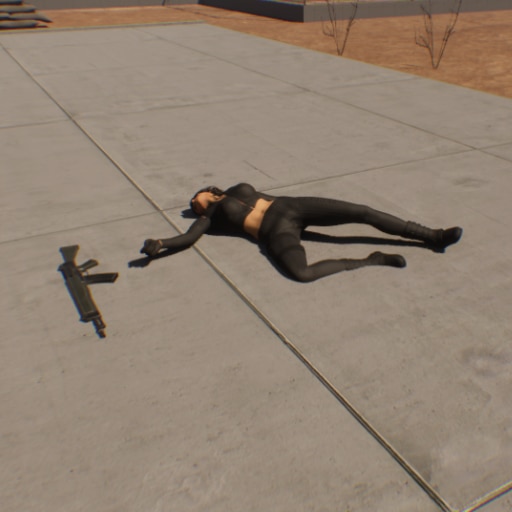 fallen in war