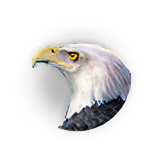 Eagle's Eye