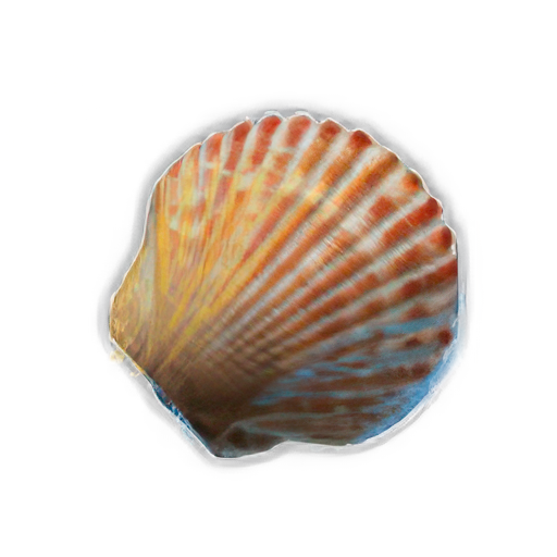 Shells Expert
