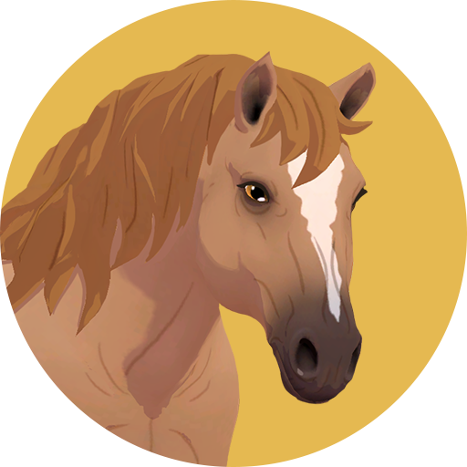 Trofeo oculto (bronce) de HORSE CLUB Ride West