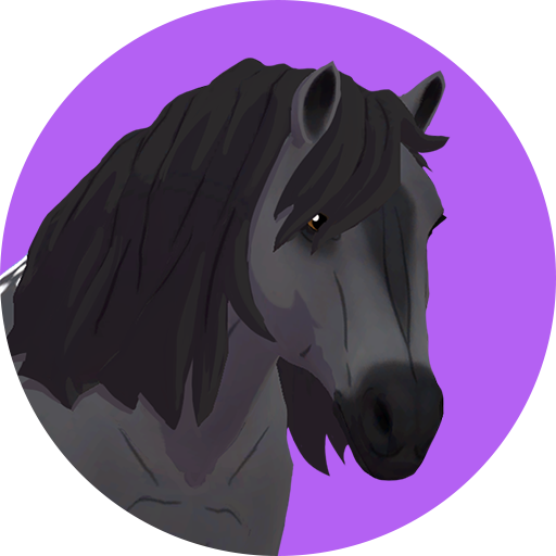 Trofeo oculto (bronce) de HORSE CLUB Ride West
