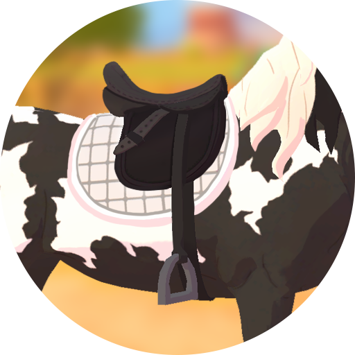 Trofeo Careful... (bronce) de HORSE CLUB Ride West