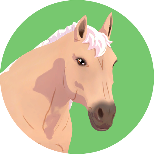 Trofeo oculto (bronce) de HORSE CLUB Ride West